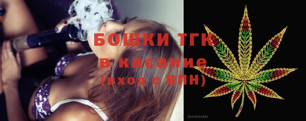 PSILOCYBIN Инсар