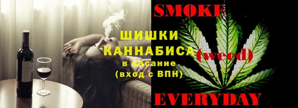 PSILOCYBIN Инсар