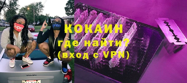 mix Инта