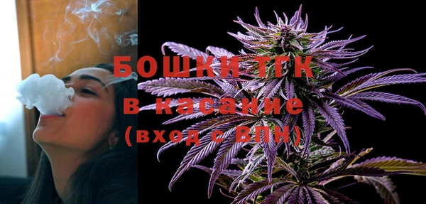 mix Инта