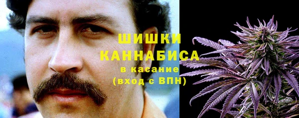 ешки Иннополис