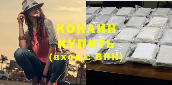 PSILOCYBIN Инсар