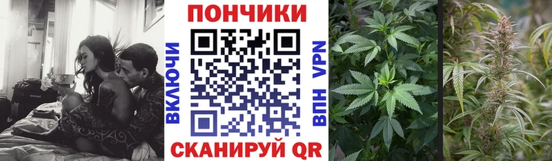 Конопля марихуана  Купить закладки  Карпинск 